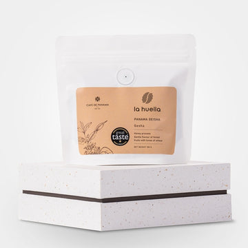 Panama Geisha Premium Coffee